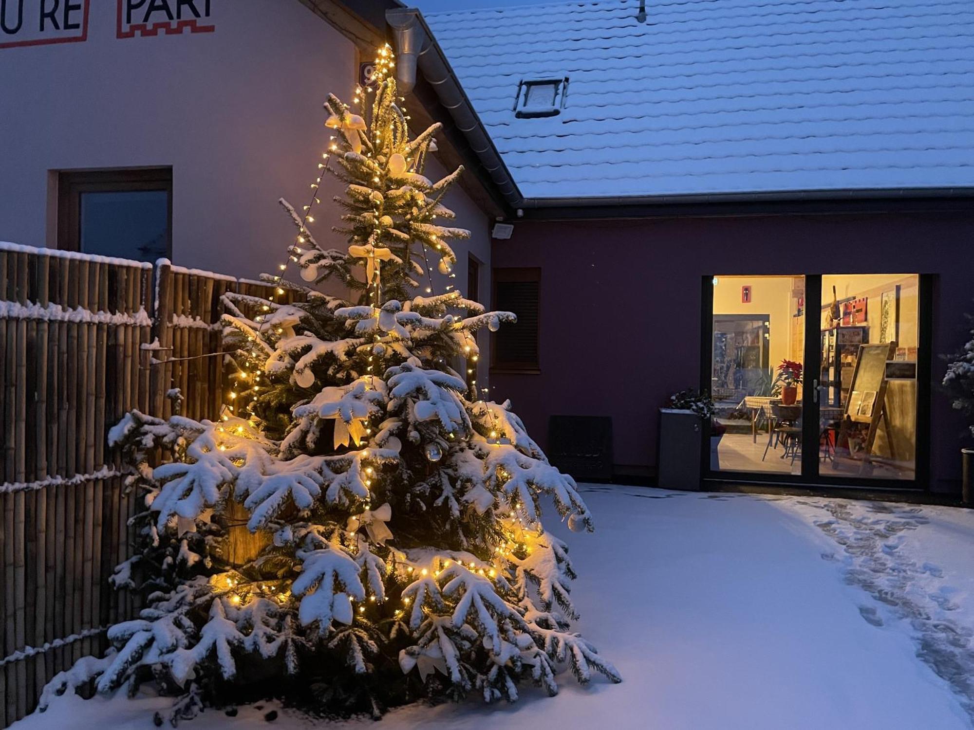Le Refuge Du Rempart Hotel ดอมแบค-ลา-วิลล์ ภายนอก รูปภาพ